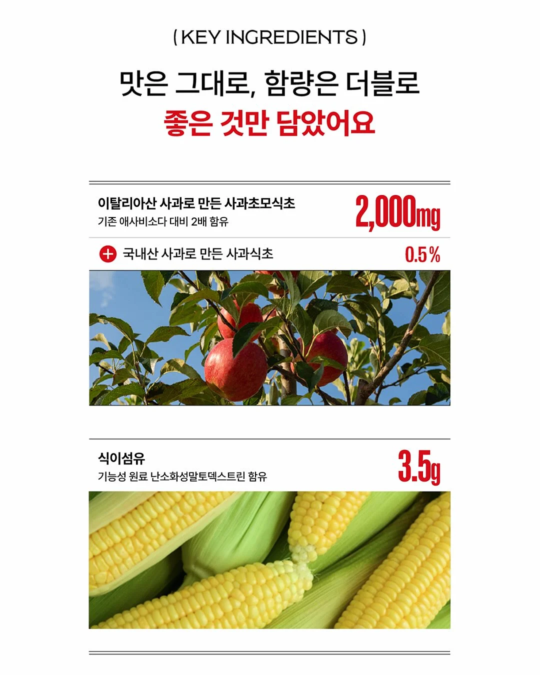 프렘 플레온 무쇠그릇 8