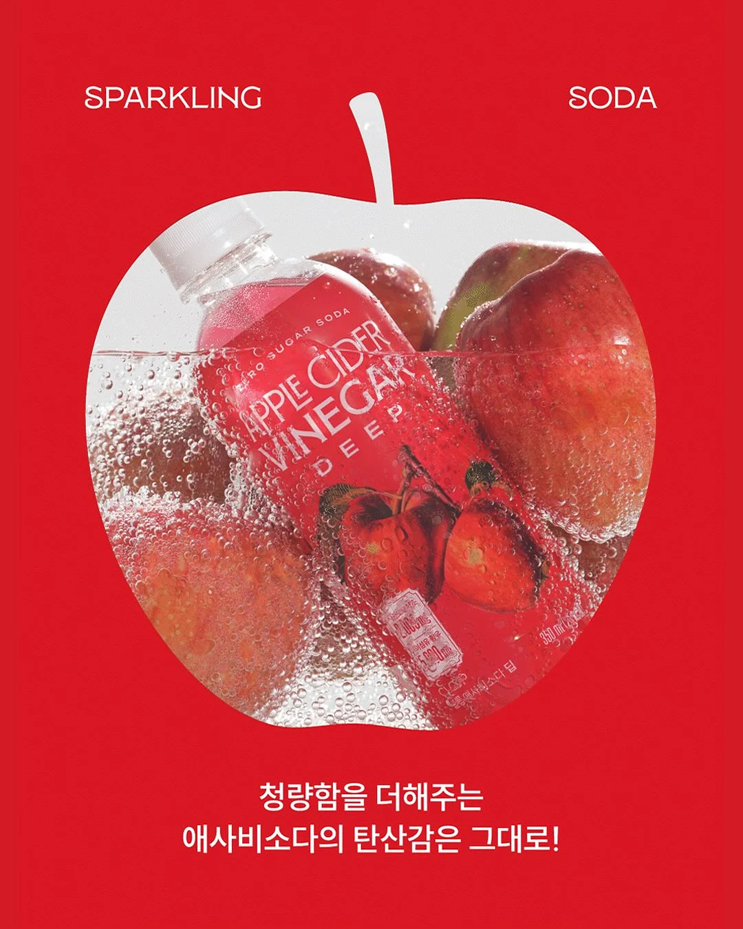 프렘 플레온 무쇠그릇 9