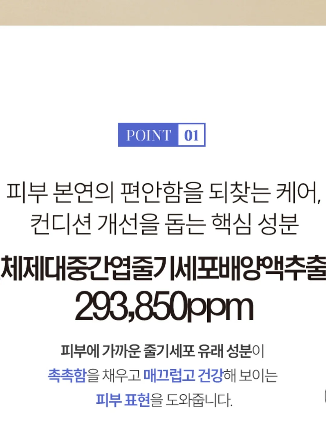 아이스커피 6
