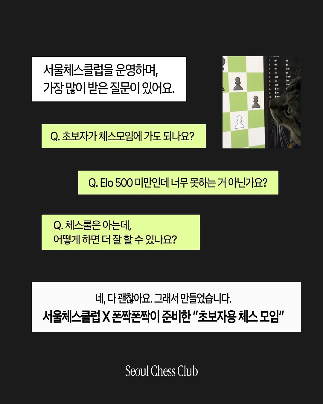 펄감 블랙 소라 2