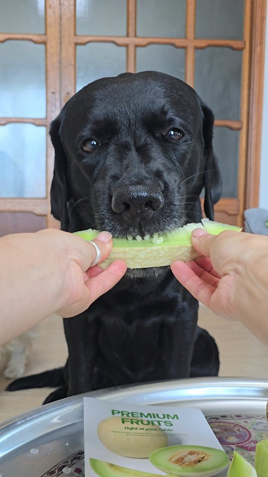 조선간장