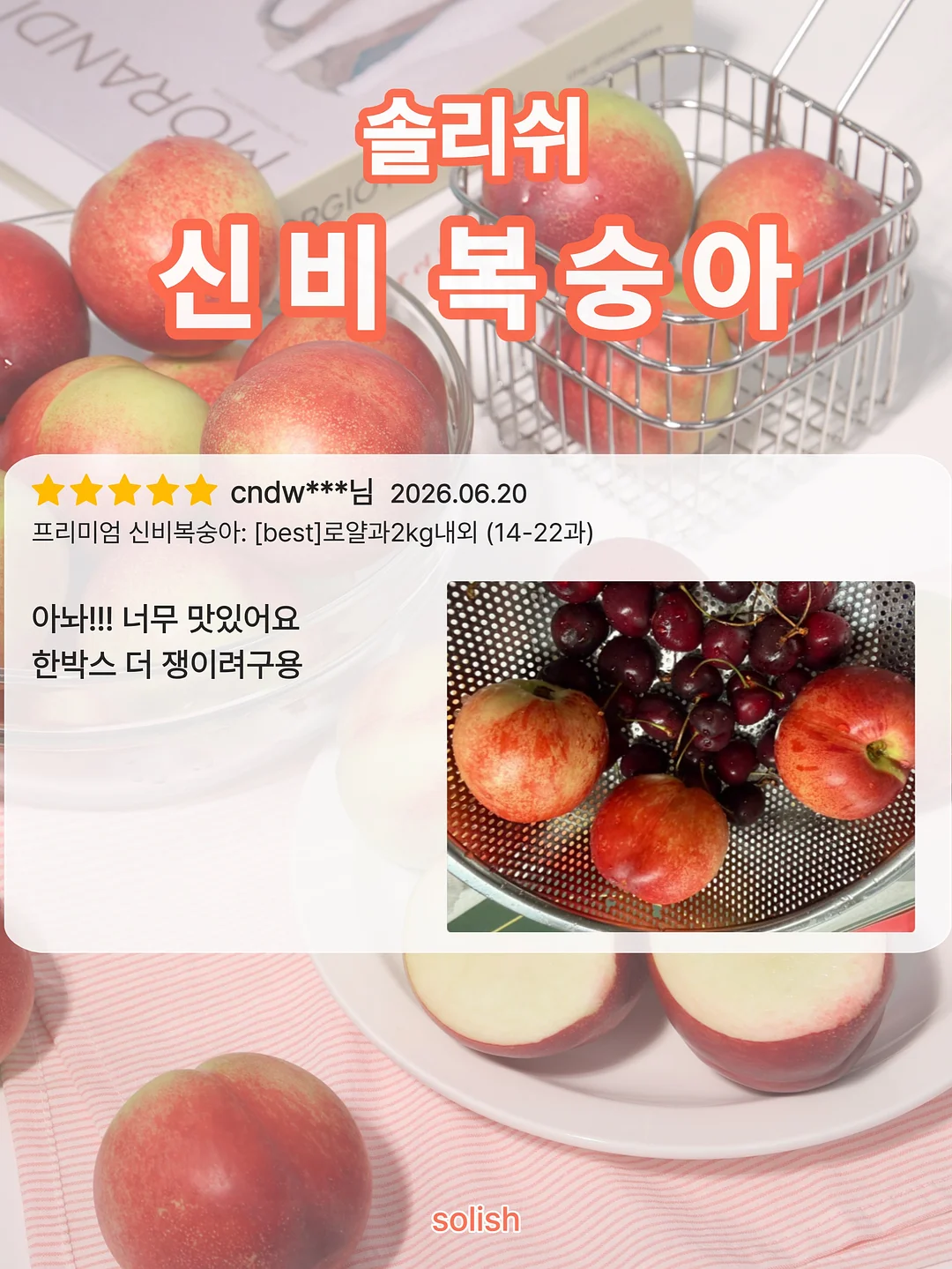 닥터파이토 파이토블락 / 오메가3 / 칼마디 / 철분 6