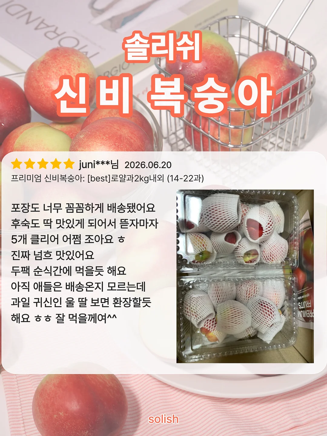 닥터파이토 파이토블락 / 오메가3 / 칼마디 / 철분 10