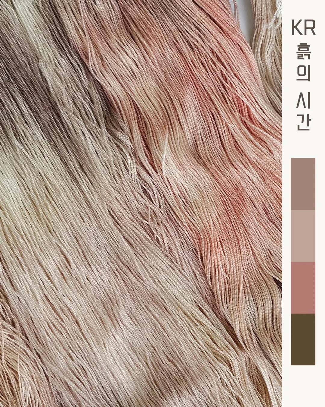 연리희재 초당옥수수 컬렉션 7