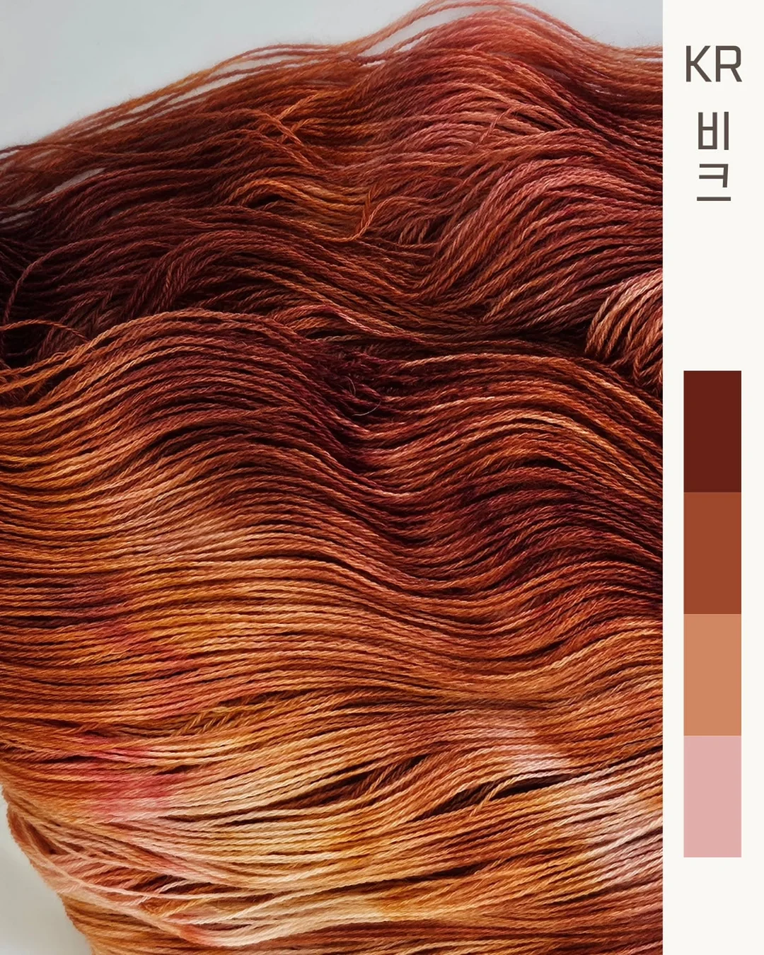연리희재 초당옥수수 컬렉션 10