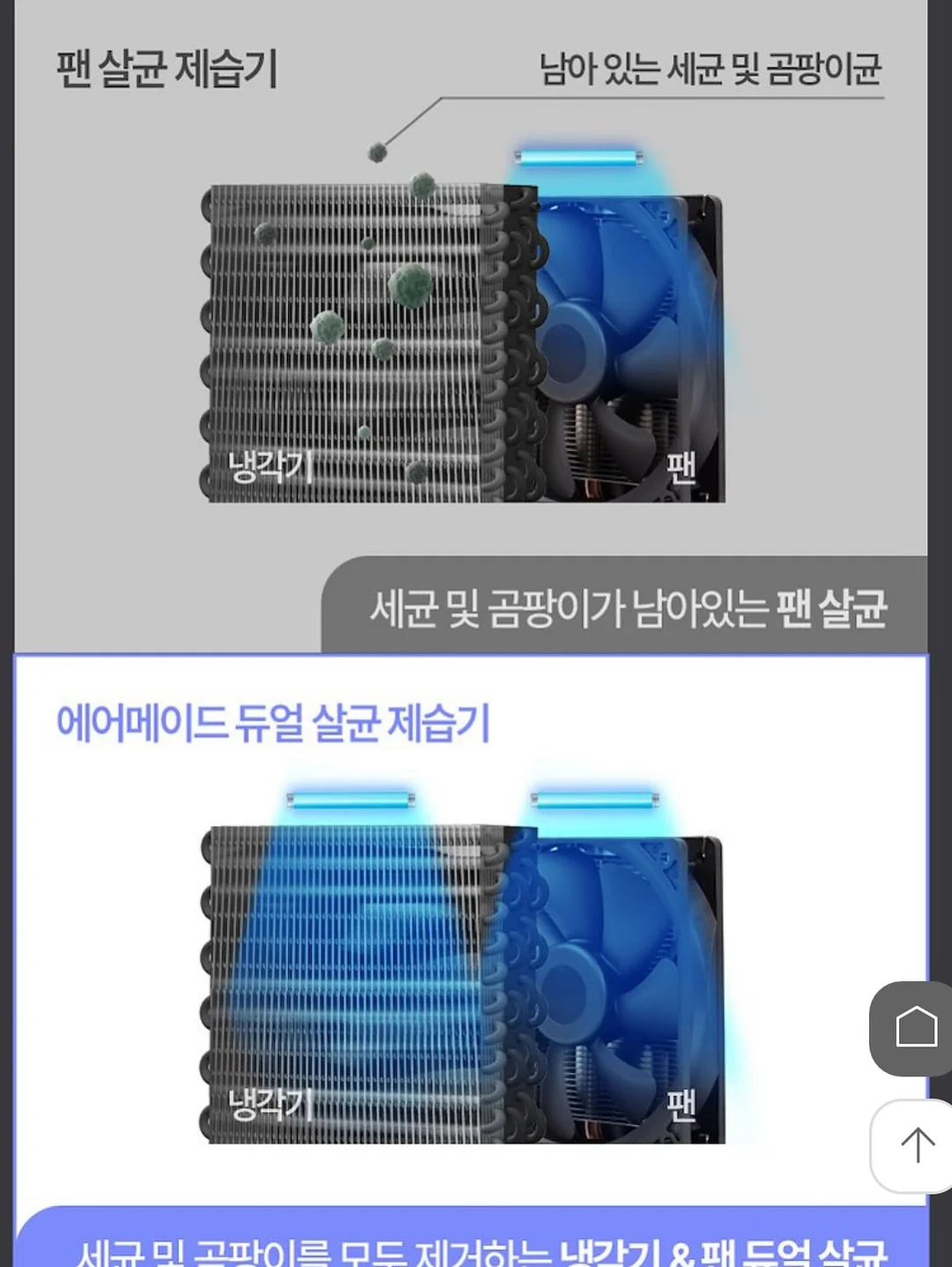 그로미미 다이노소어 스테인리스 빨대컵 12