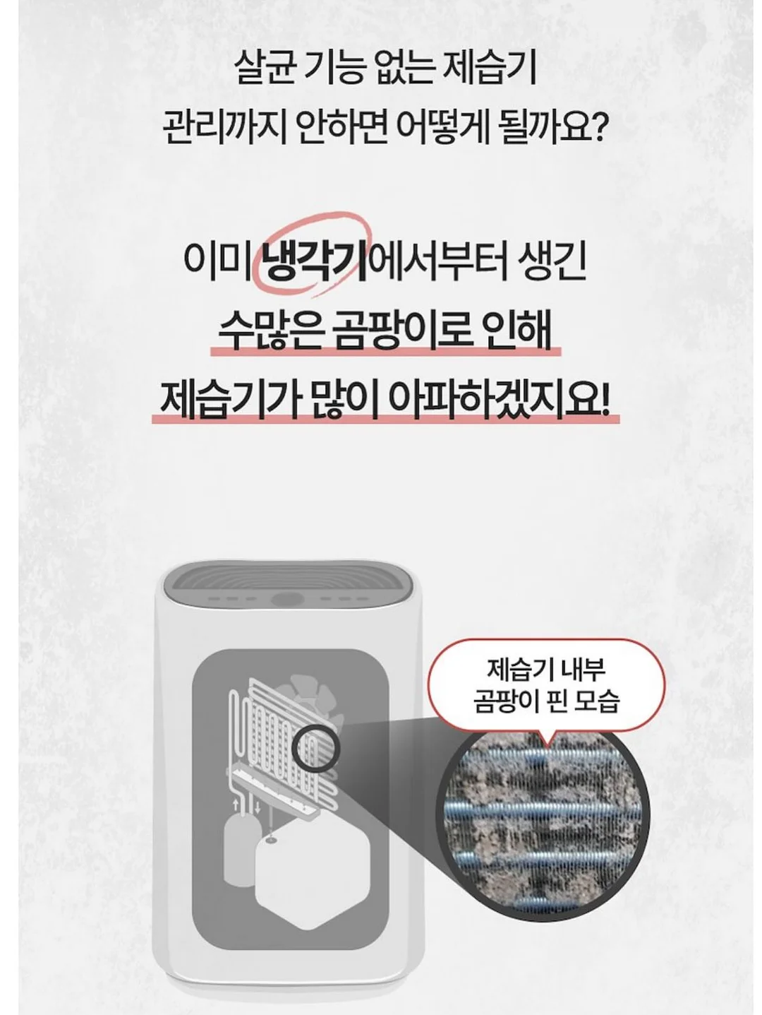 그로미미 다이노소어 스테인리스 빨대컵 10