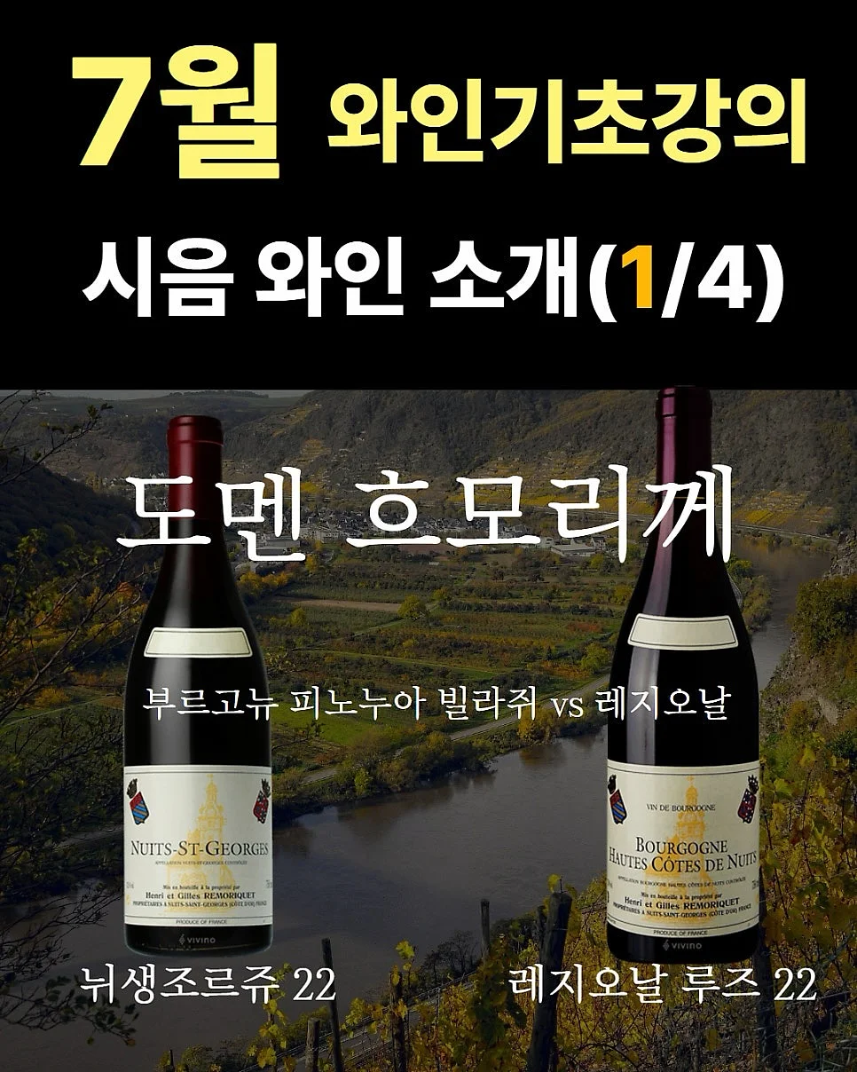 사선 스트랩 니트 1