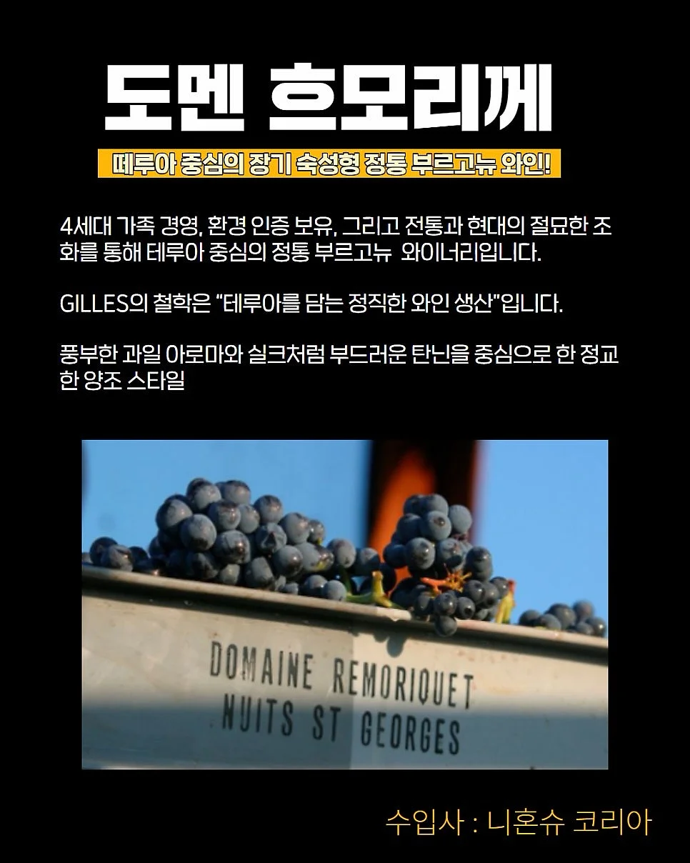 사선 스트랩 니트 2
