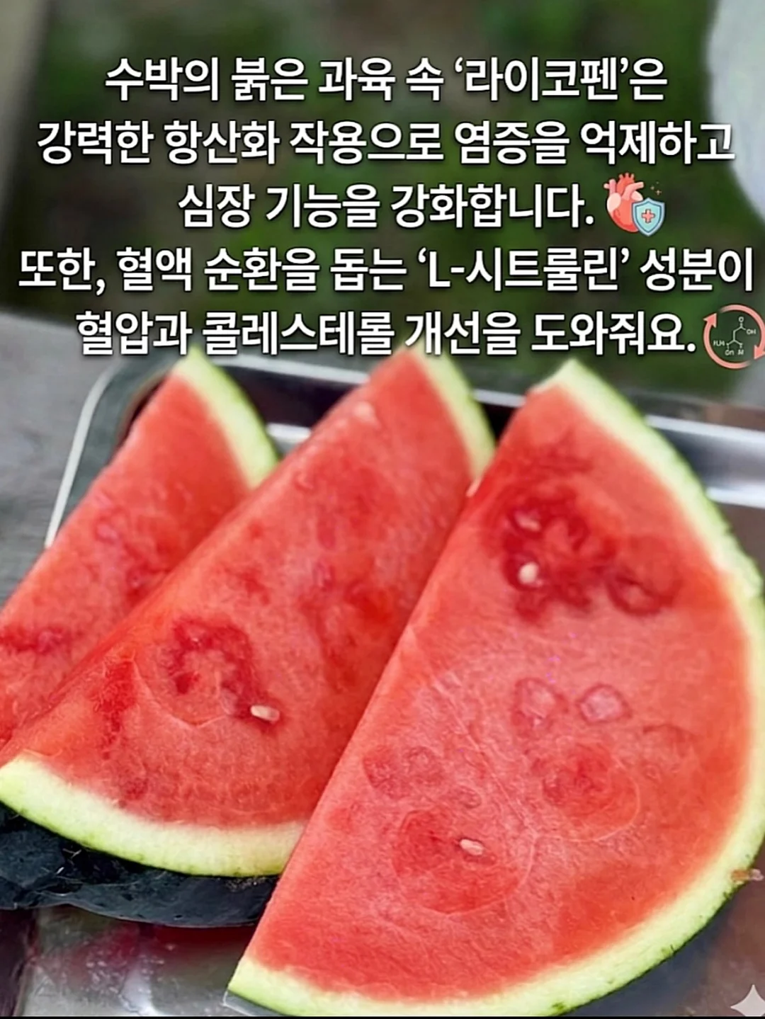 더블니 청 버뮤다 3
