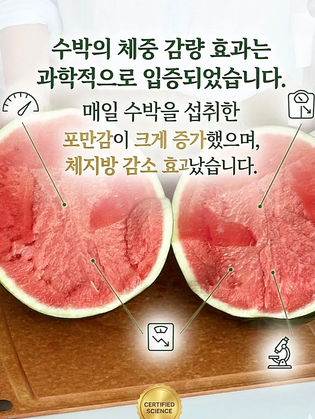 더블니 청 버뮤다 5