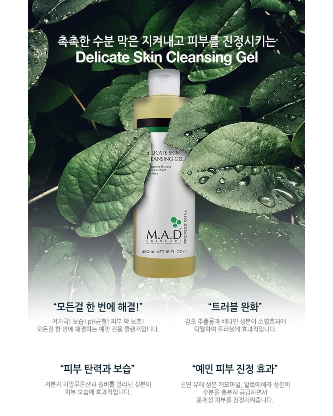 에끌 쿨토시 디즈니 디자인 6