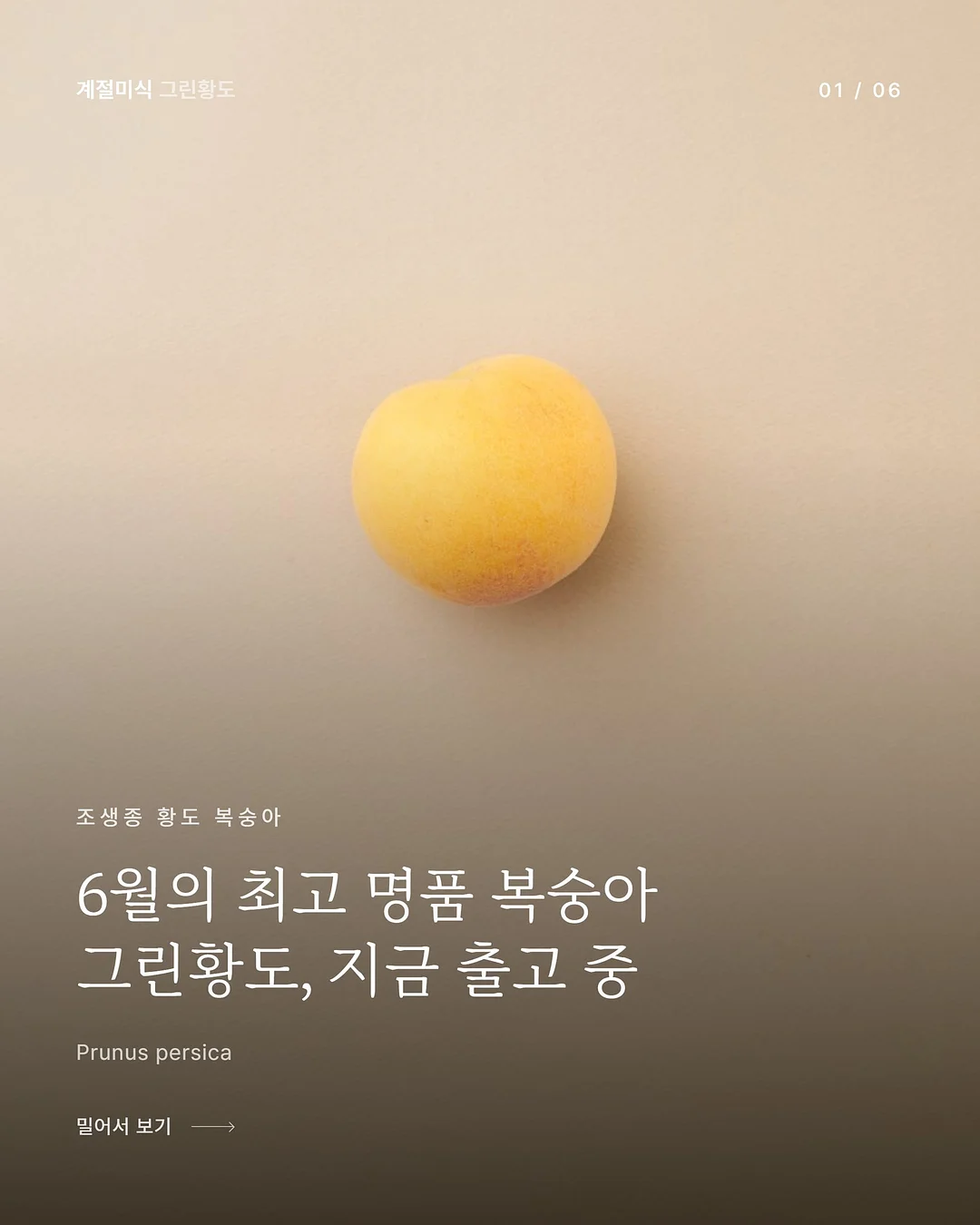 pieke 페인트 candy sky 1