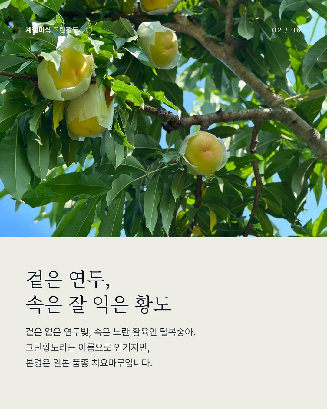 pieke 페인트 candy sky 2
