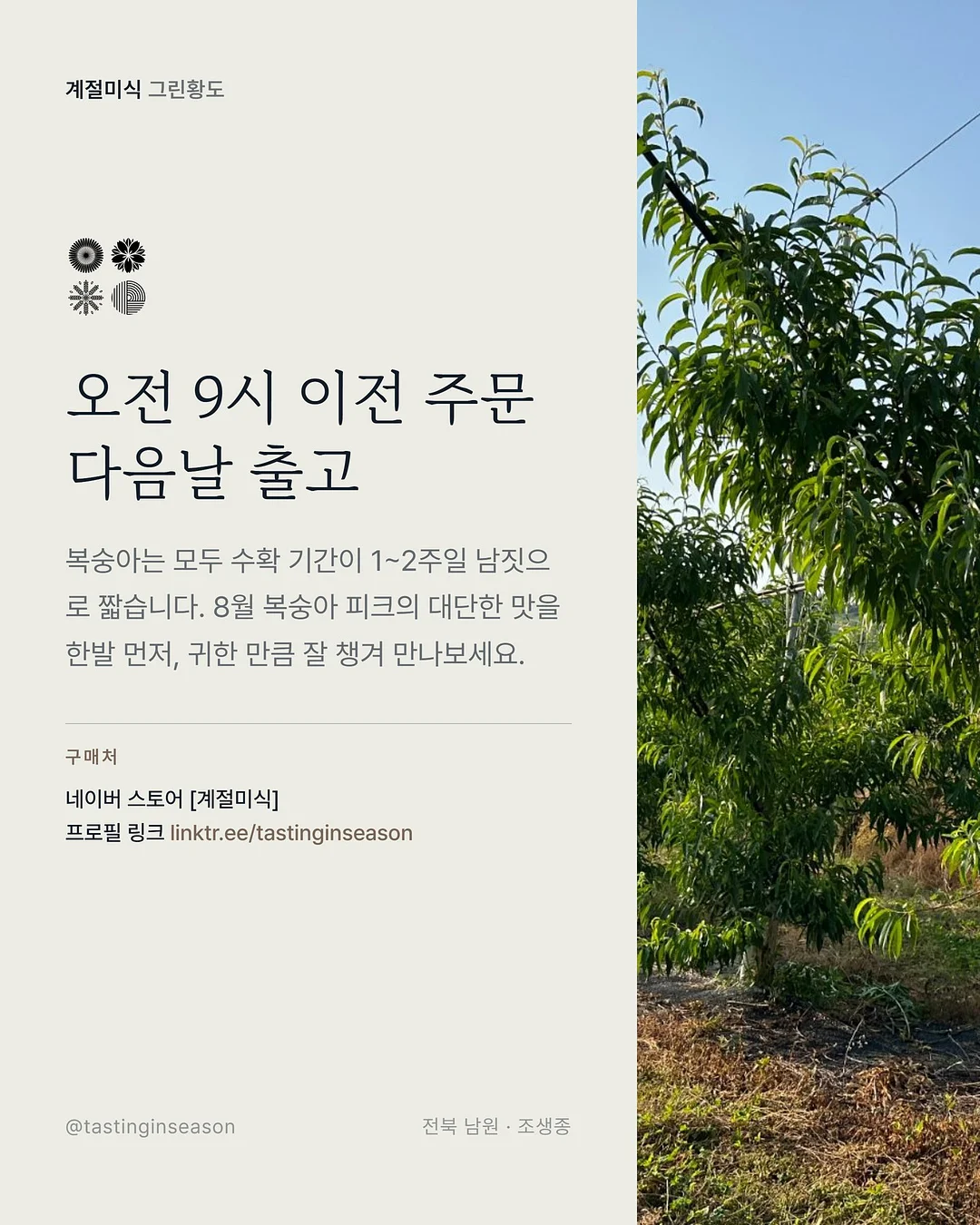 pieke 페인트 candy sky 6