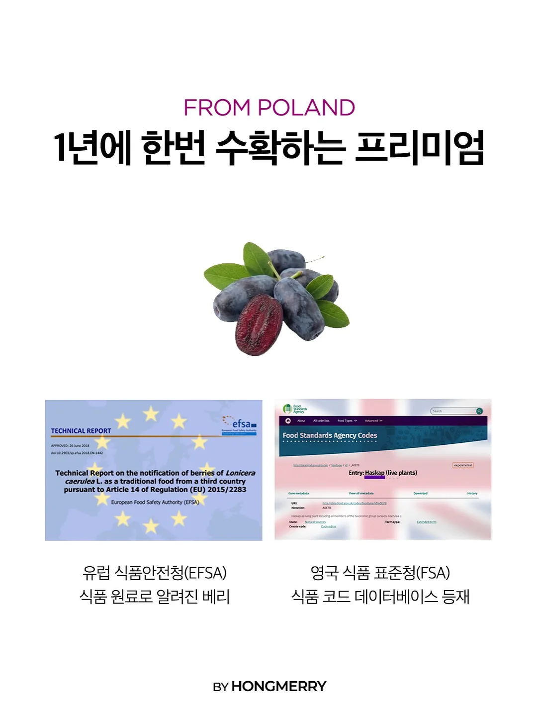유니클로 UTme! 티셔츠 8