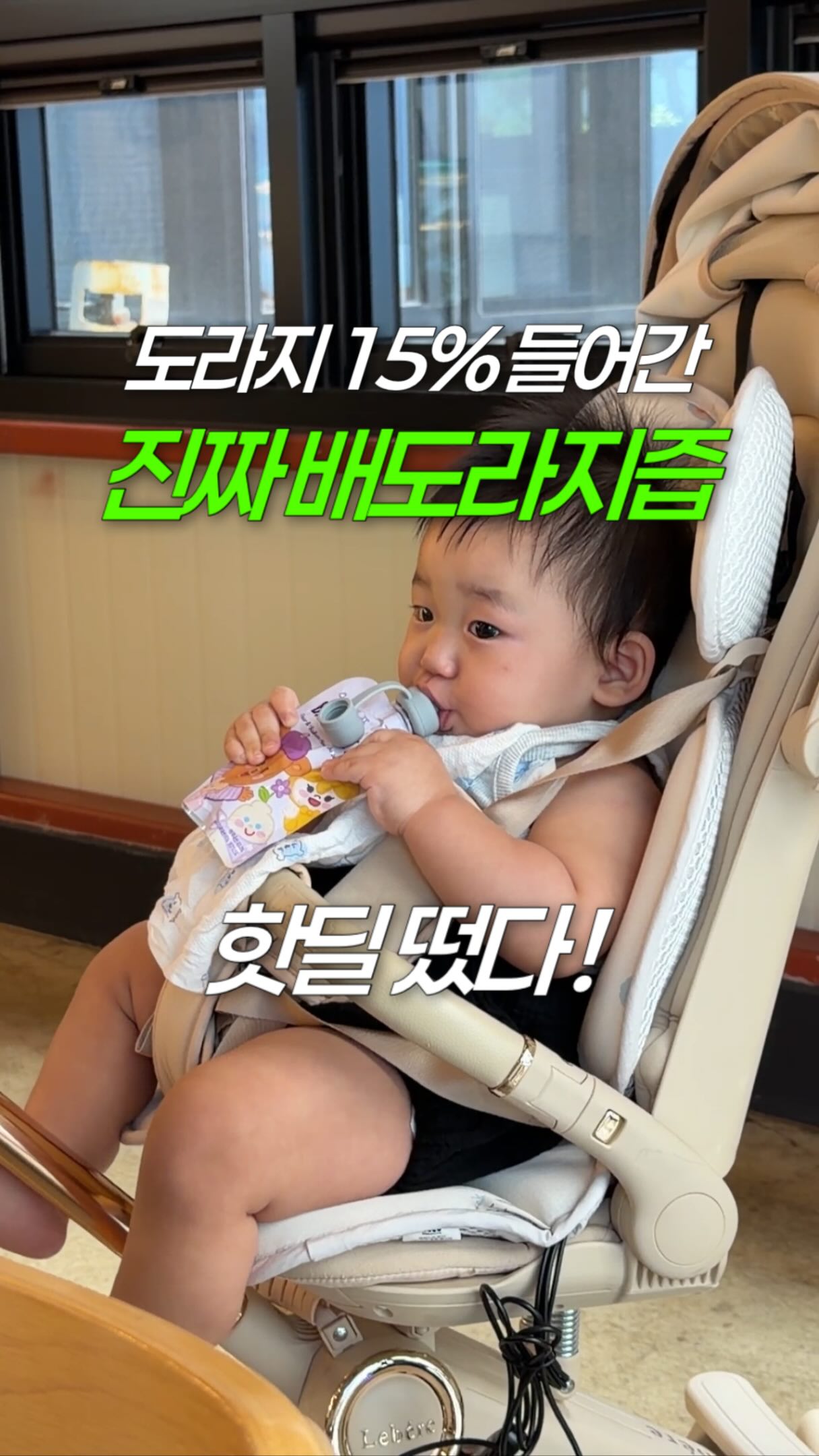 세상에서 가장 따뜻한 초록