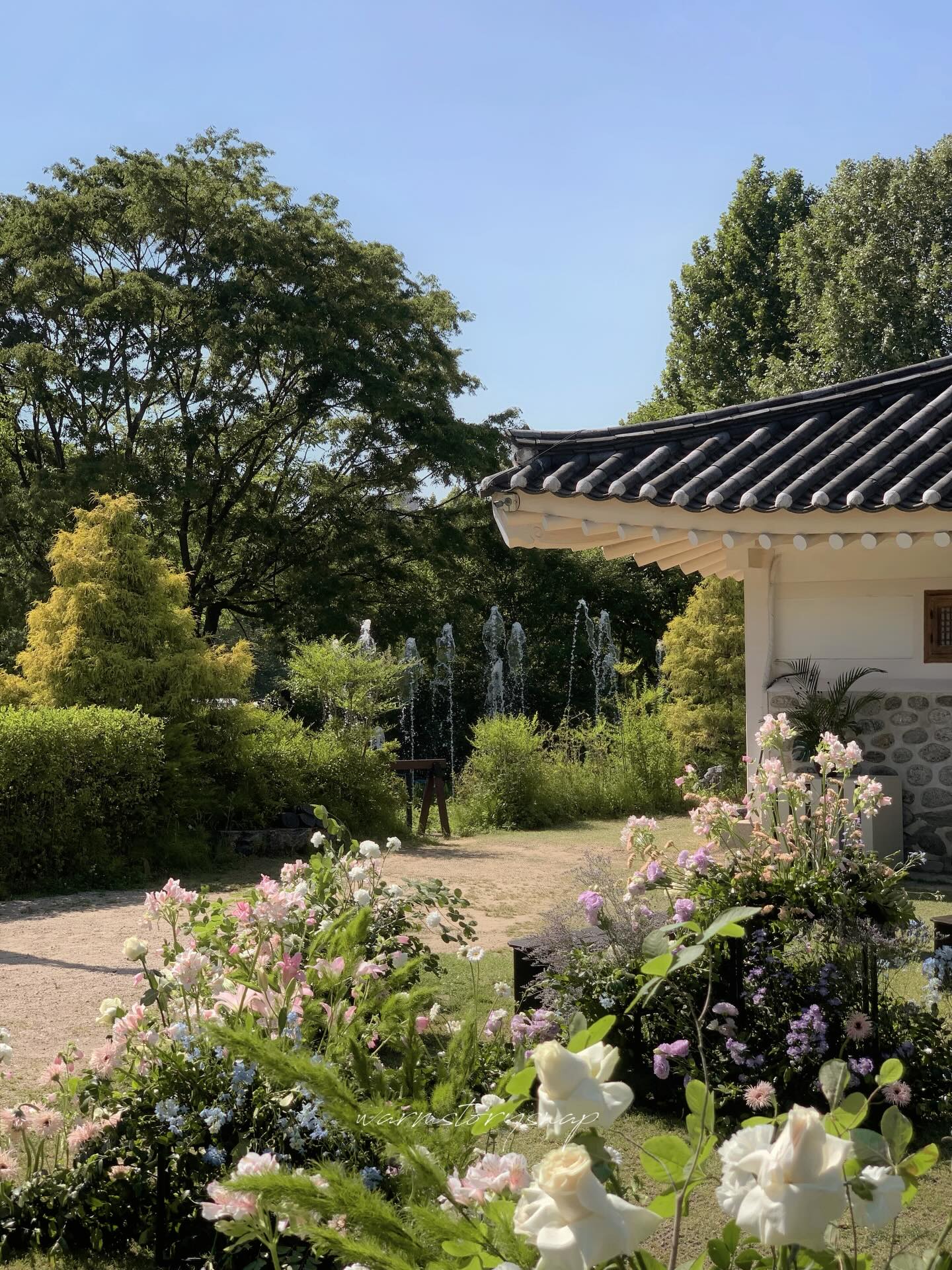 된장찌개 비밀 재료 6