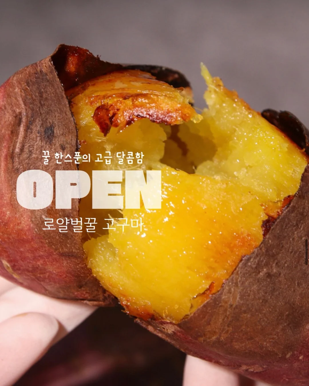 인간실격 도감 1