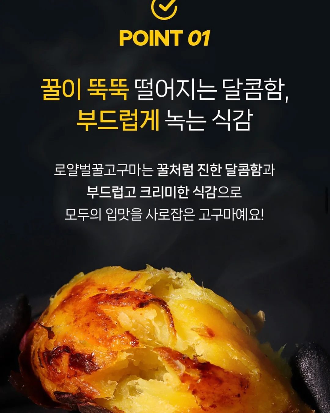 인간실격 도감 11