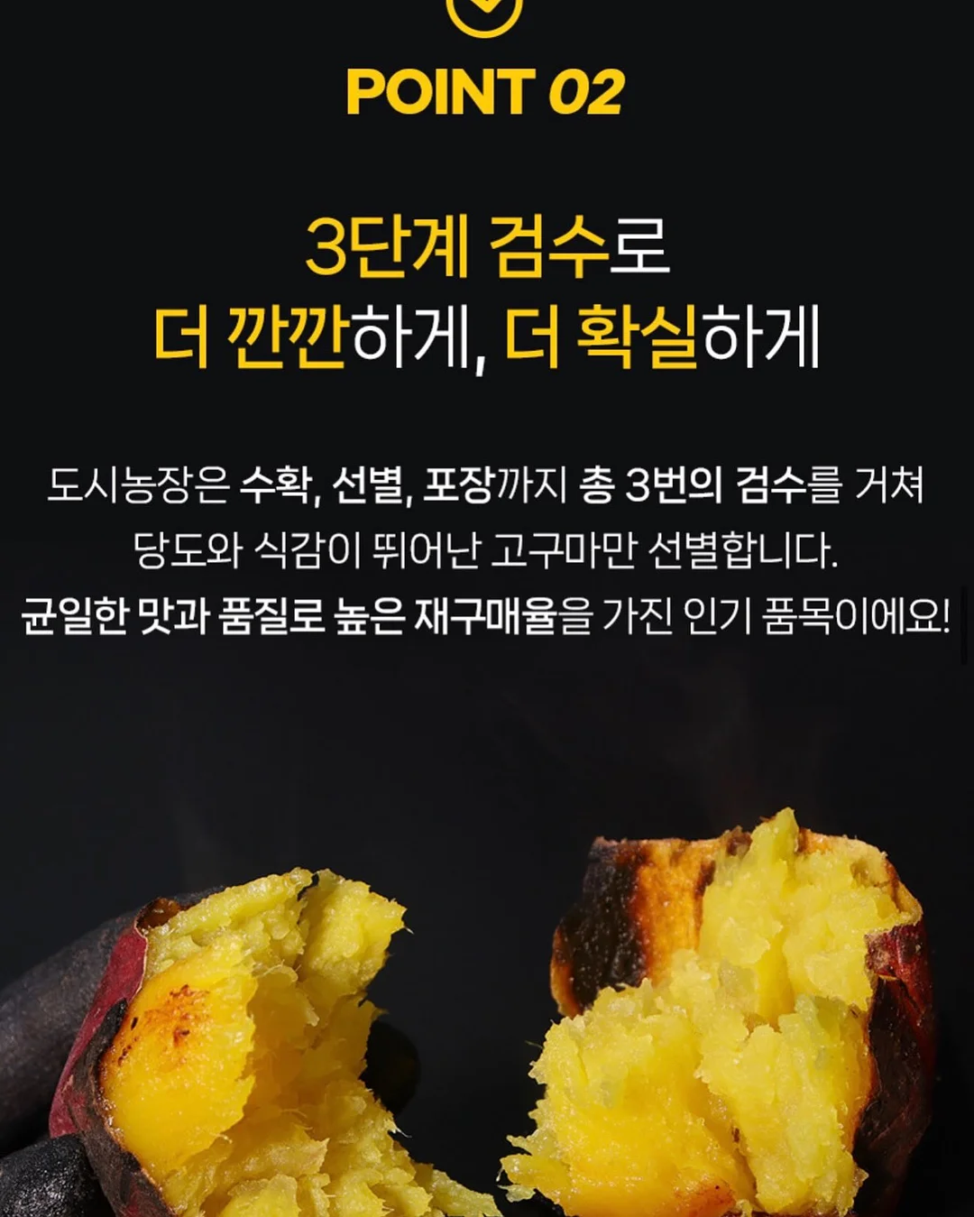 인간실격 도감 12
