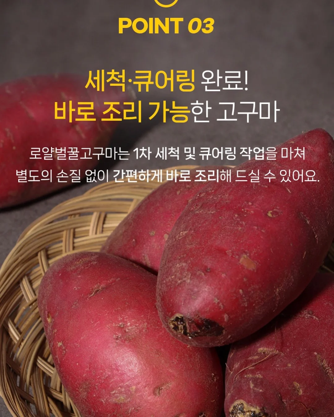 인간실격 도감 13