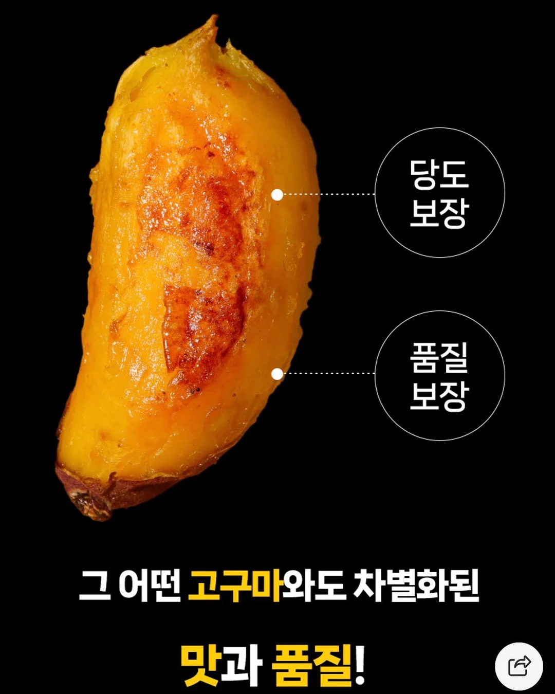인간실격 도감 8