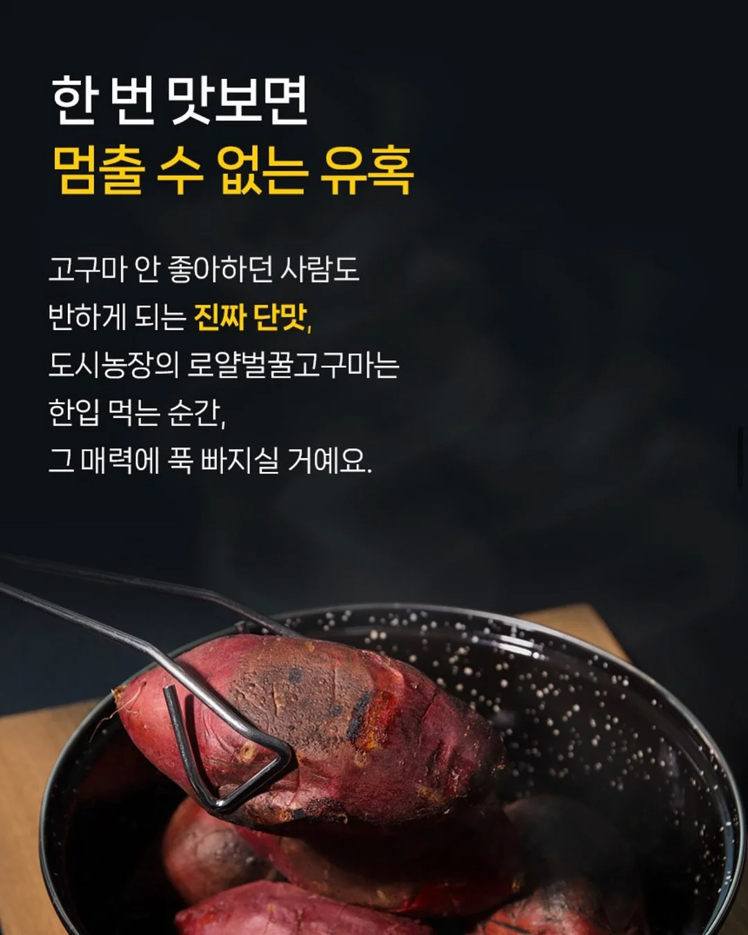 인간실격 도감 10