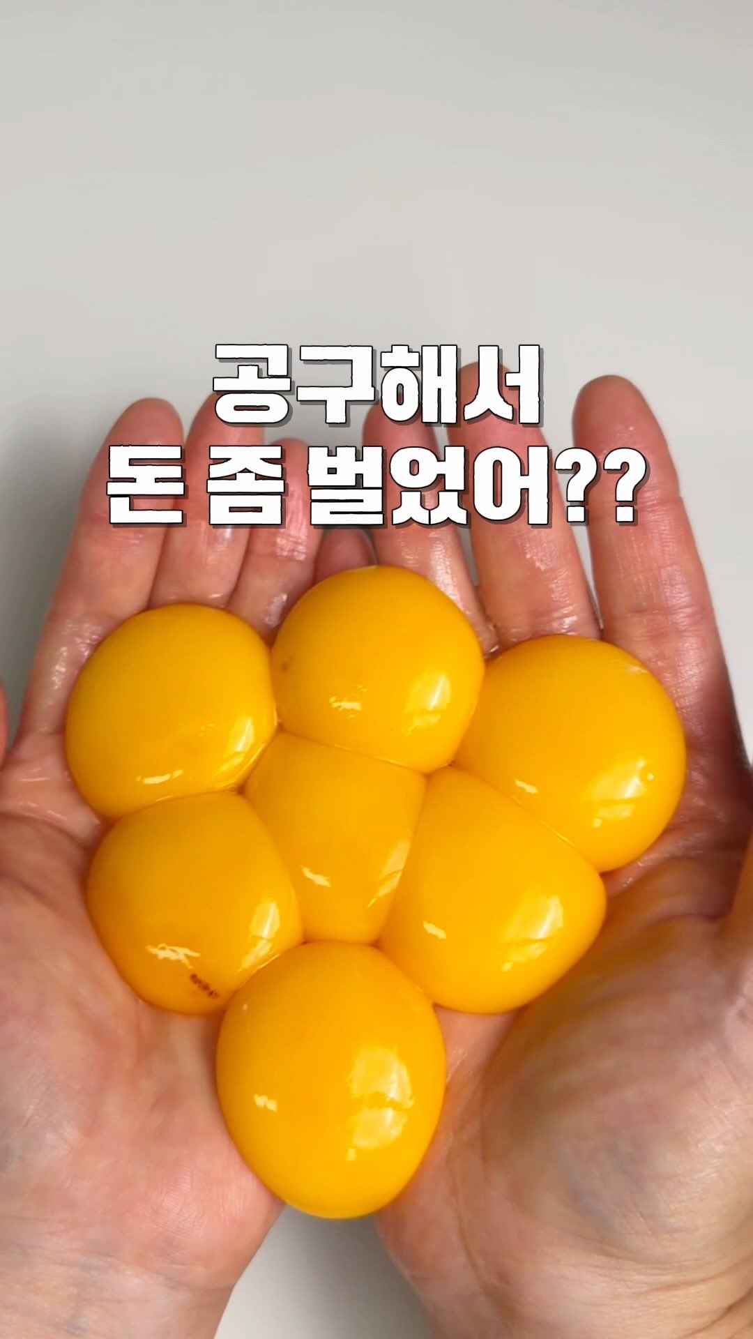 대왕옷핀
