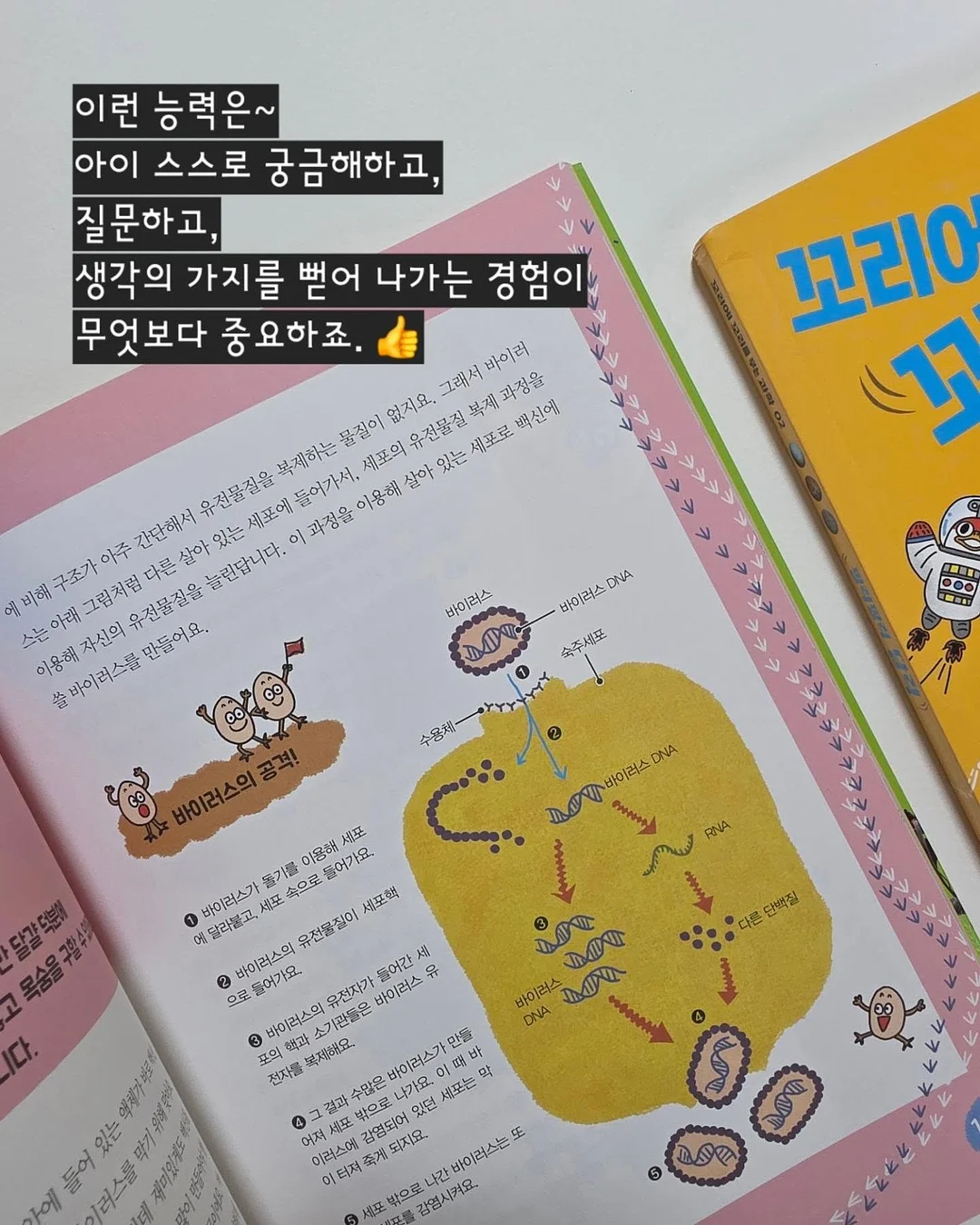 18k 나비 목걸이 5