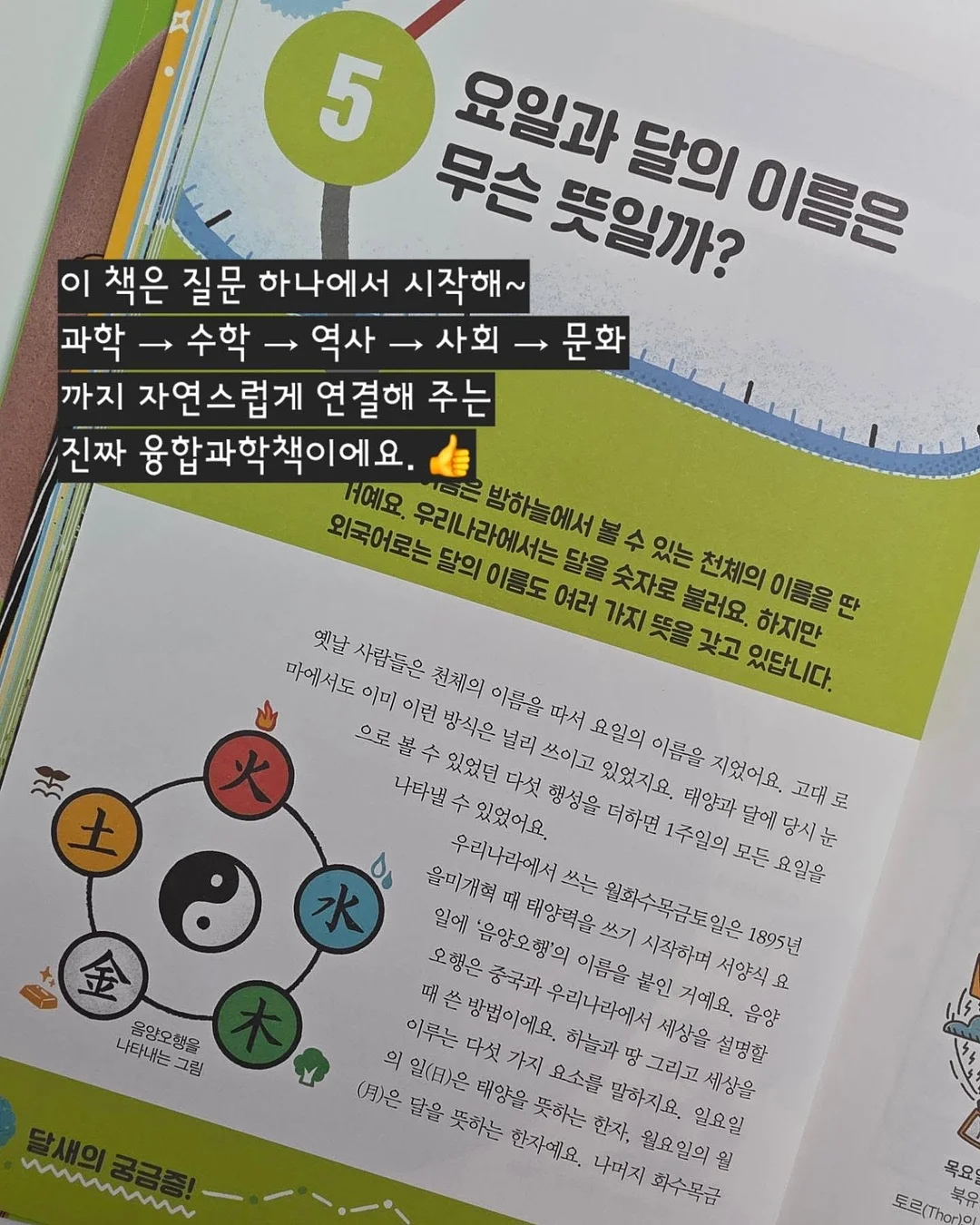 18k 나비 목걸이 7
