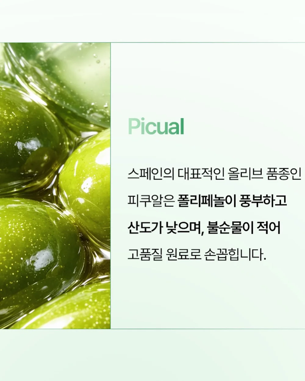 구강관리템 6