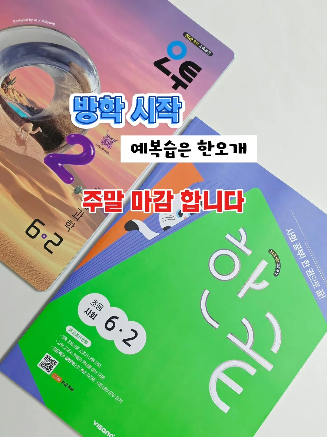 조개 해감법
