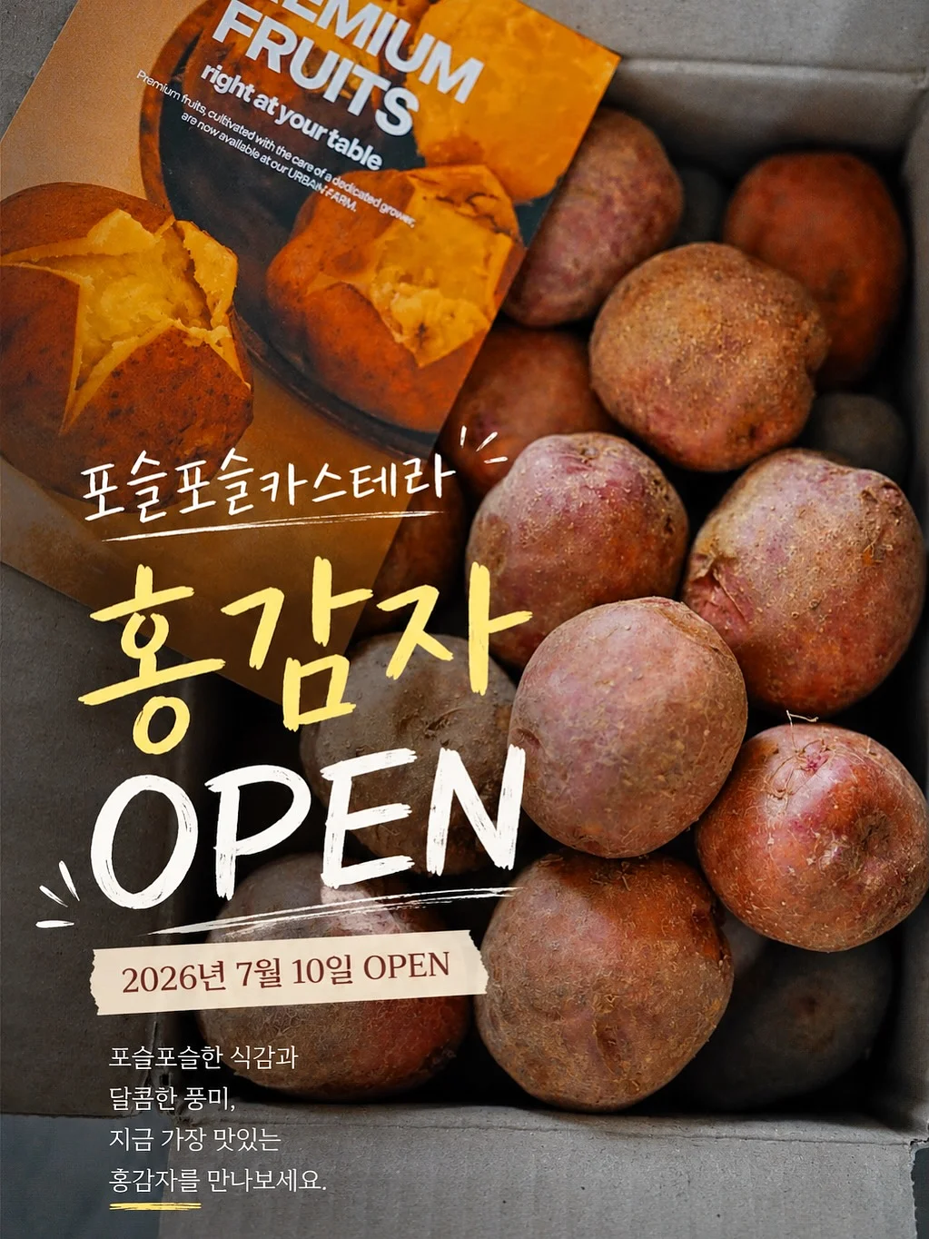 수박버킷 1