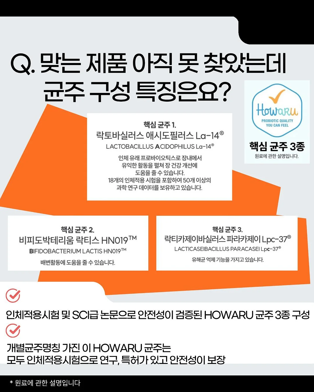 쉬인 여행룩 5