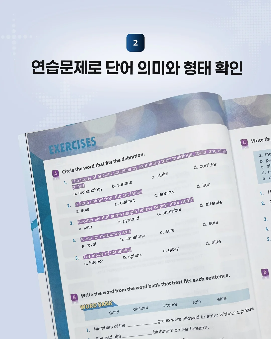 레브 입술교정 시술 6