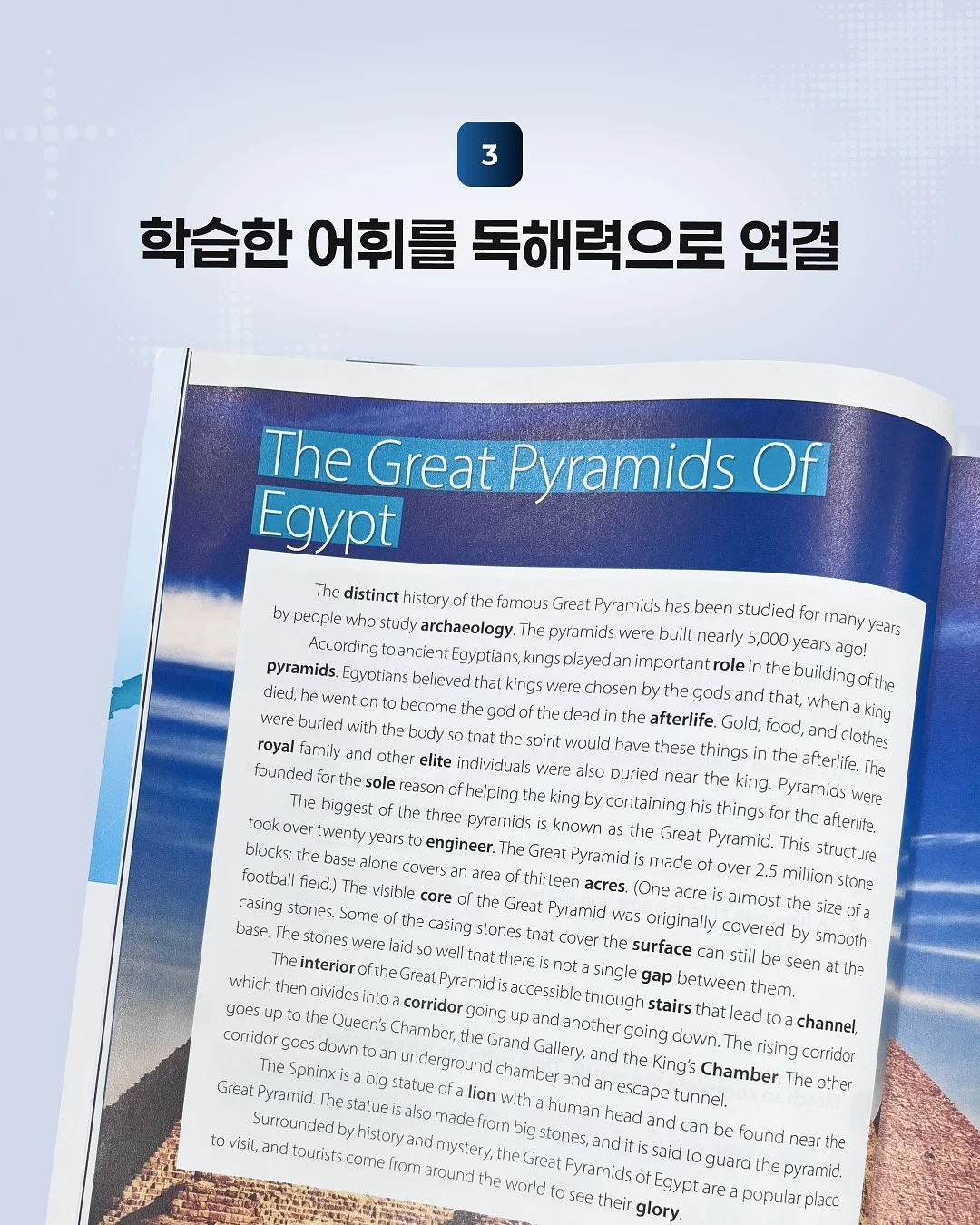 레브 입술교정 시술 7
