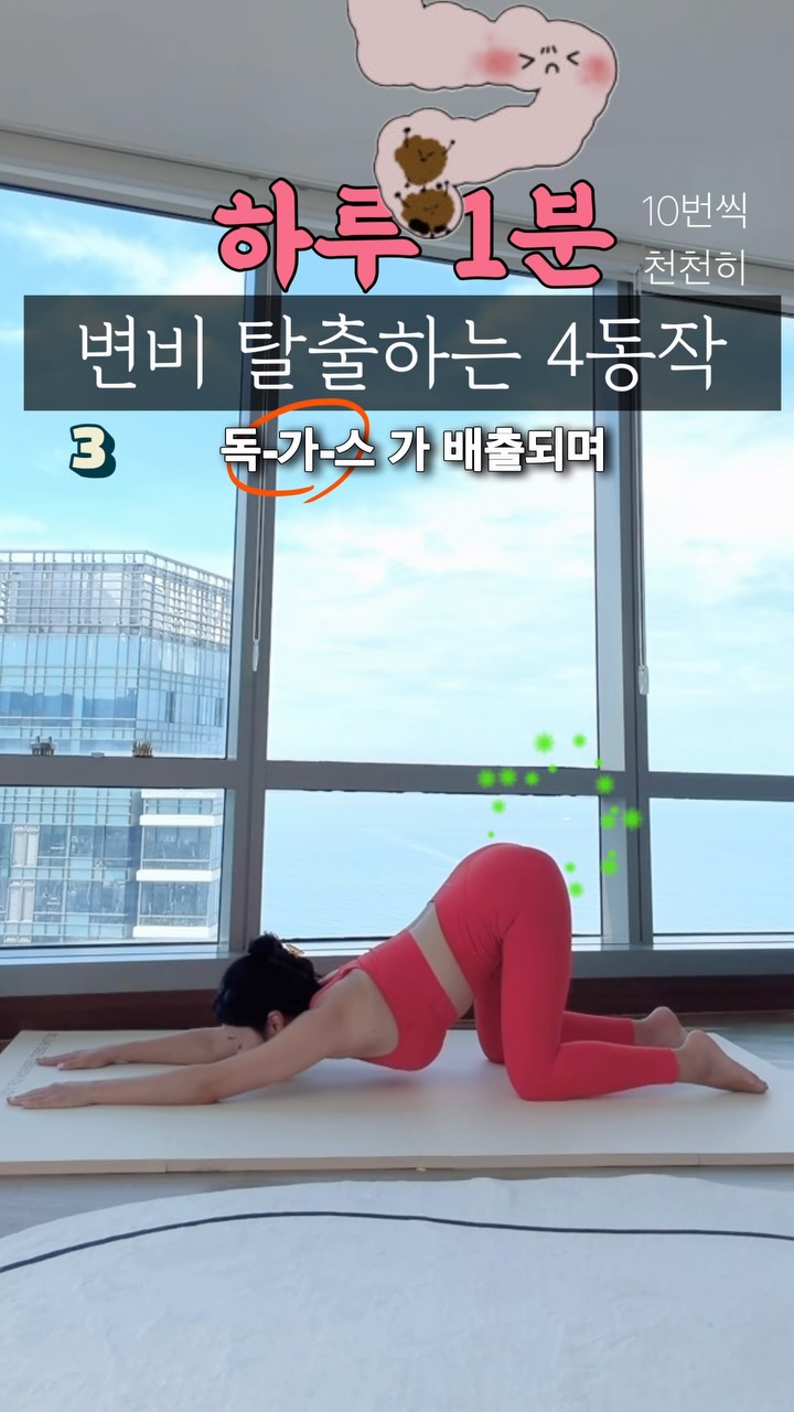 앤솔로지 자외선 차단 암막 우양산 2종 + 플라워백