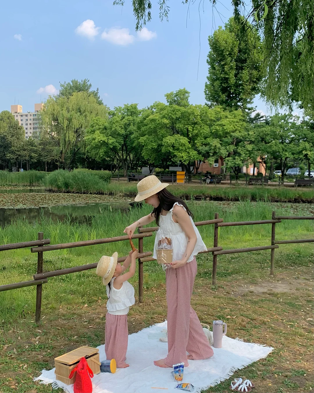 화장솜 1
