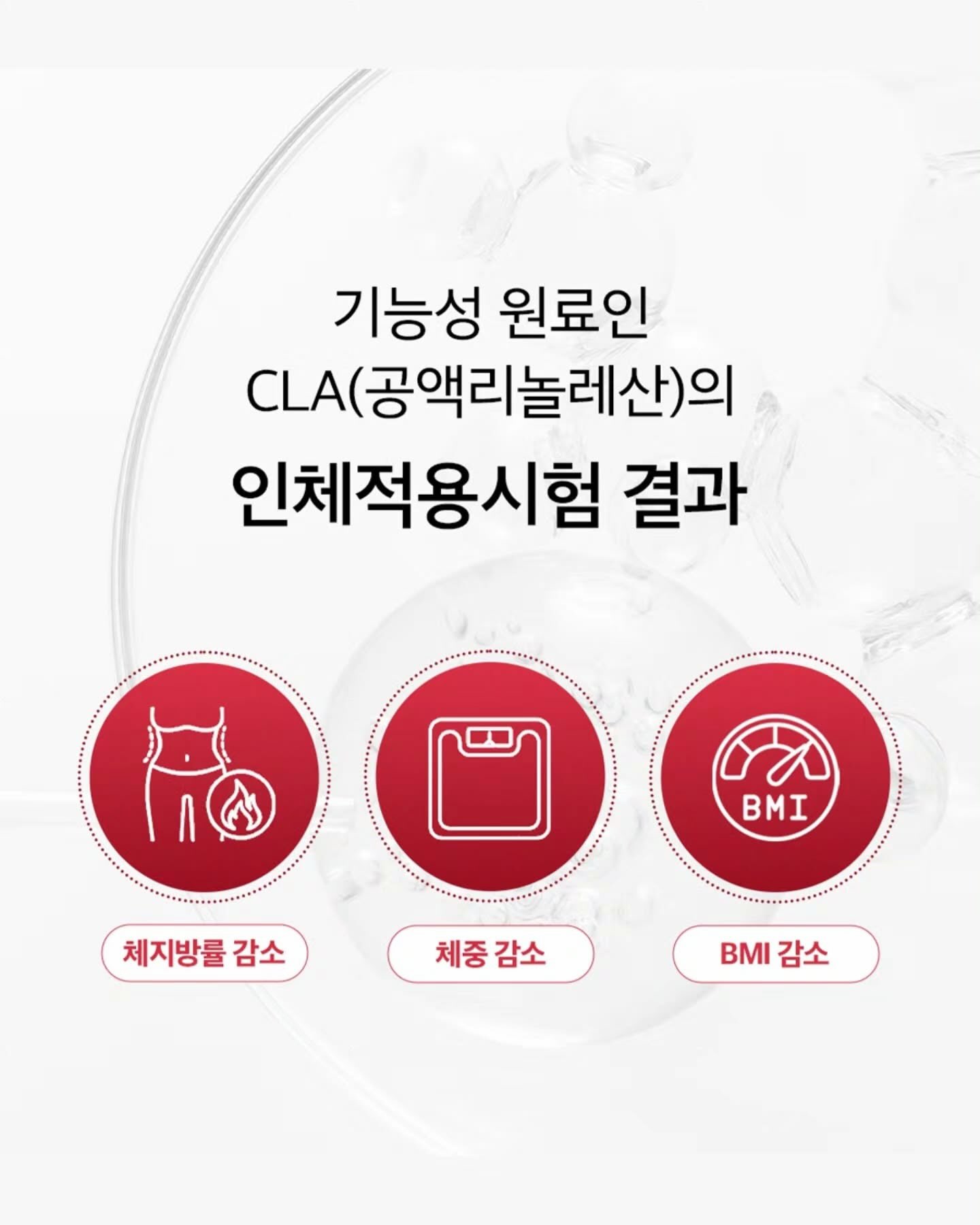 케어클린 고체방향제 10