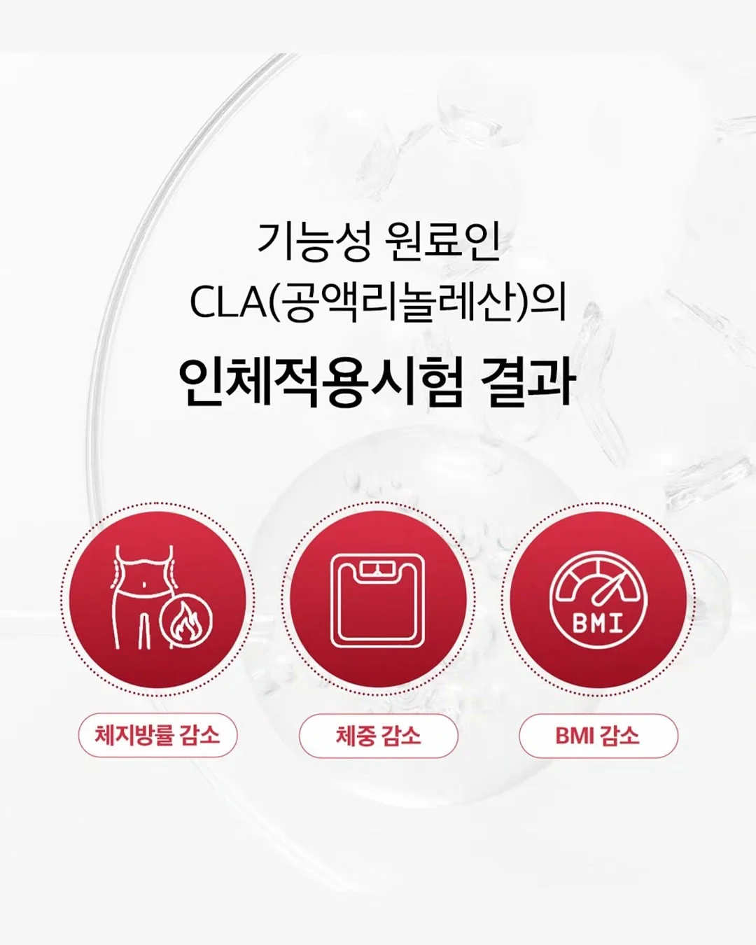 매직플로우원더파크 티켓 10