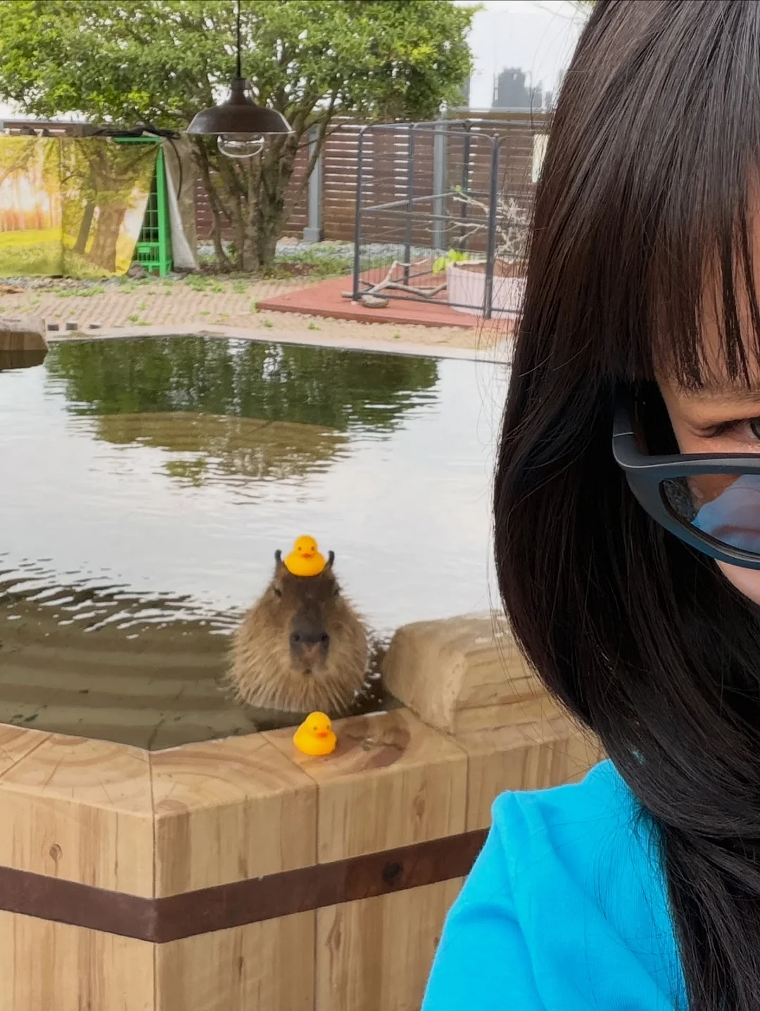 땀 패드 13