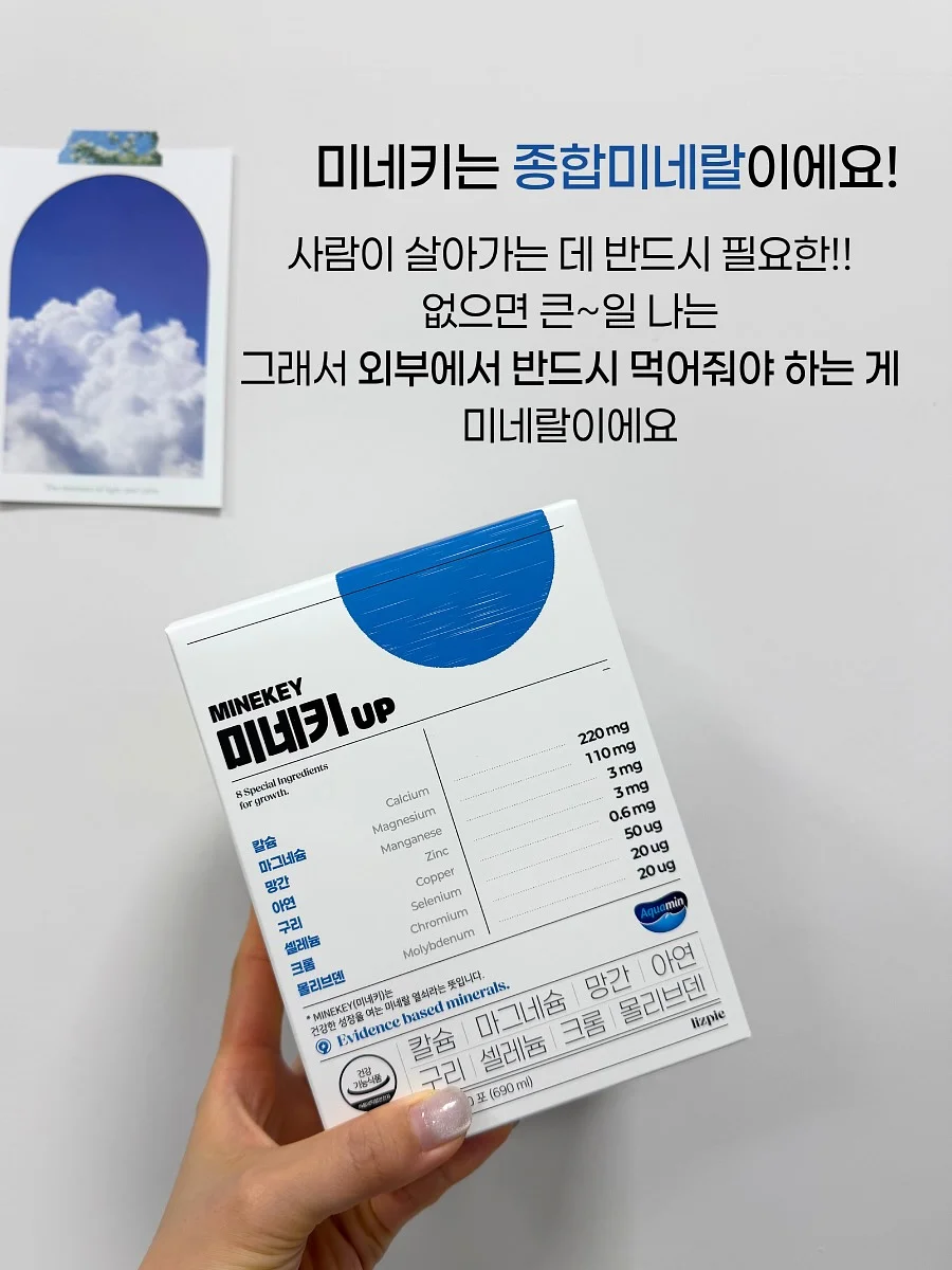 러블리 블라우스 2