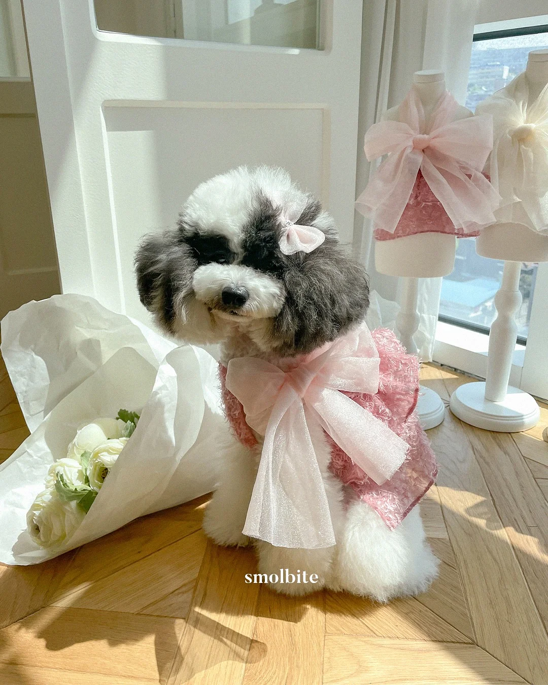 소흉근 단축 검사법 2