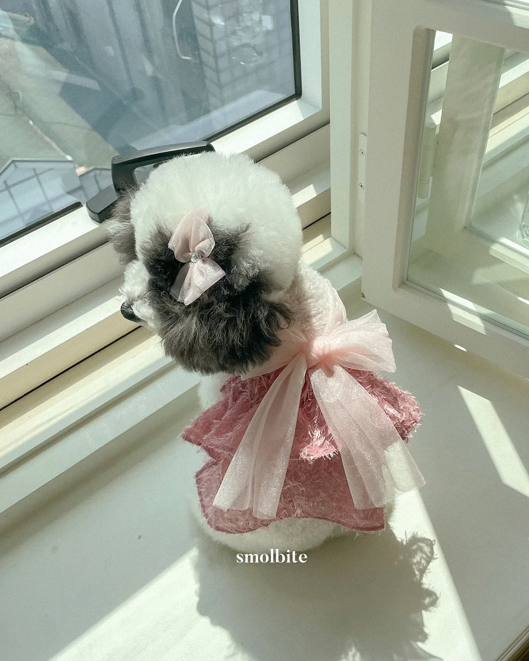 소흉근 단축 검사법 4
