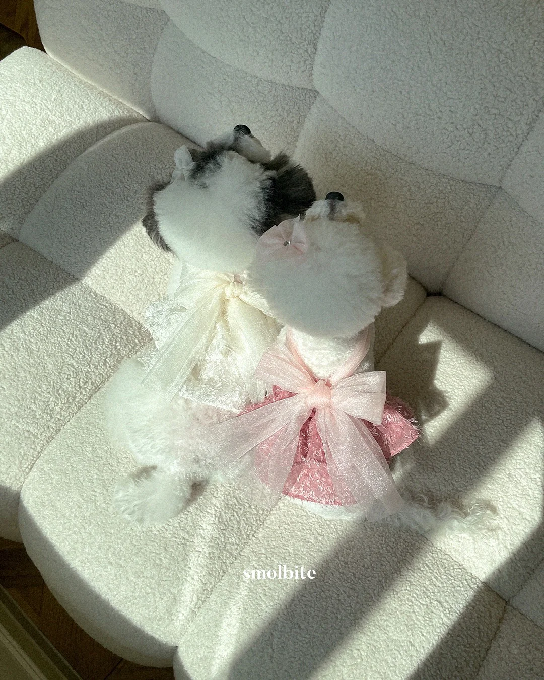 소흉근 단축 검사법 8