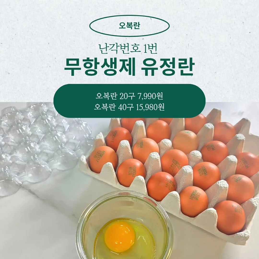 디즈니 잠옷 2