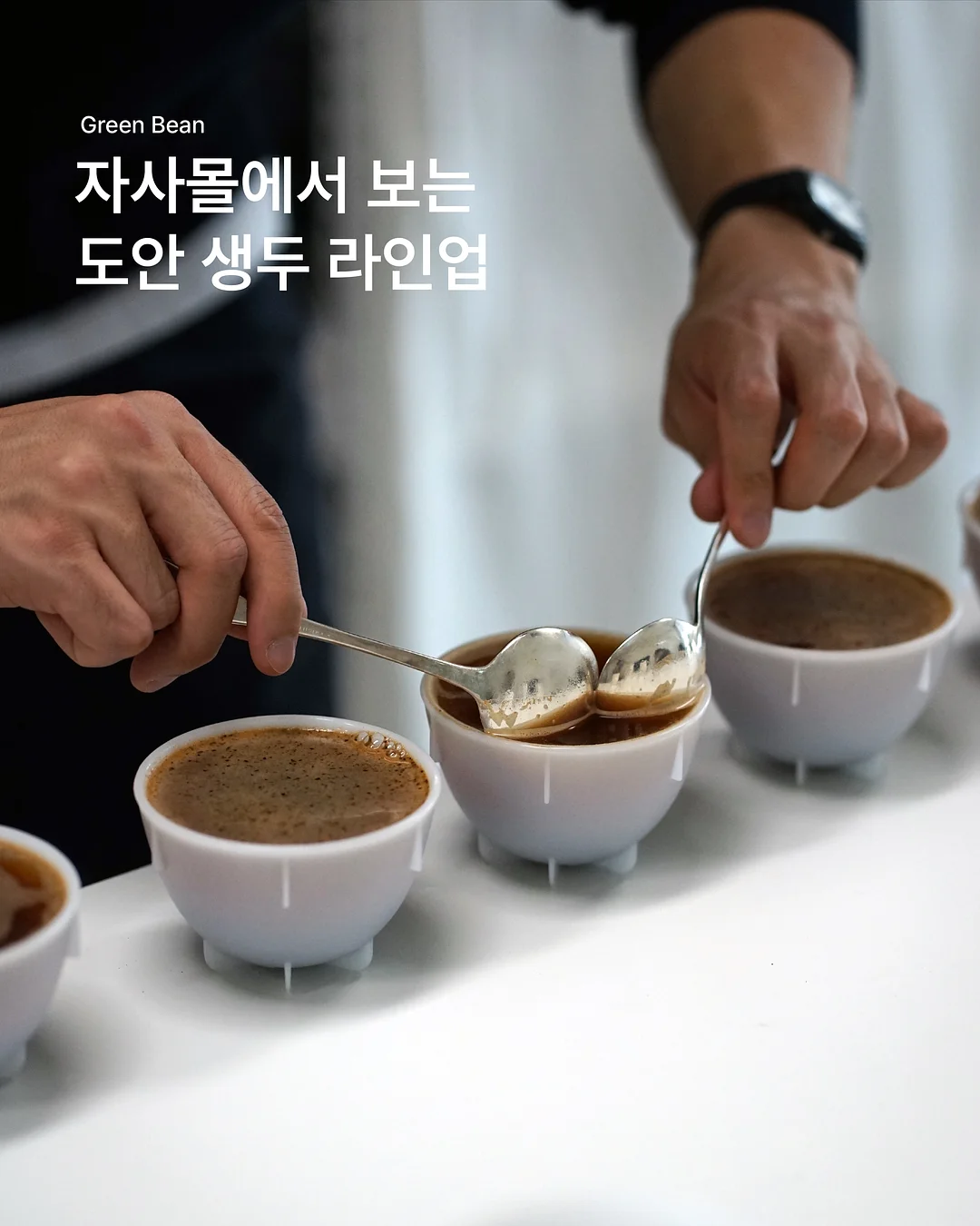 세비엄 포어 리파이너