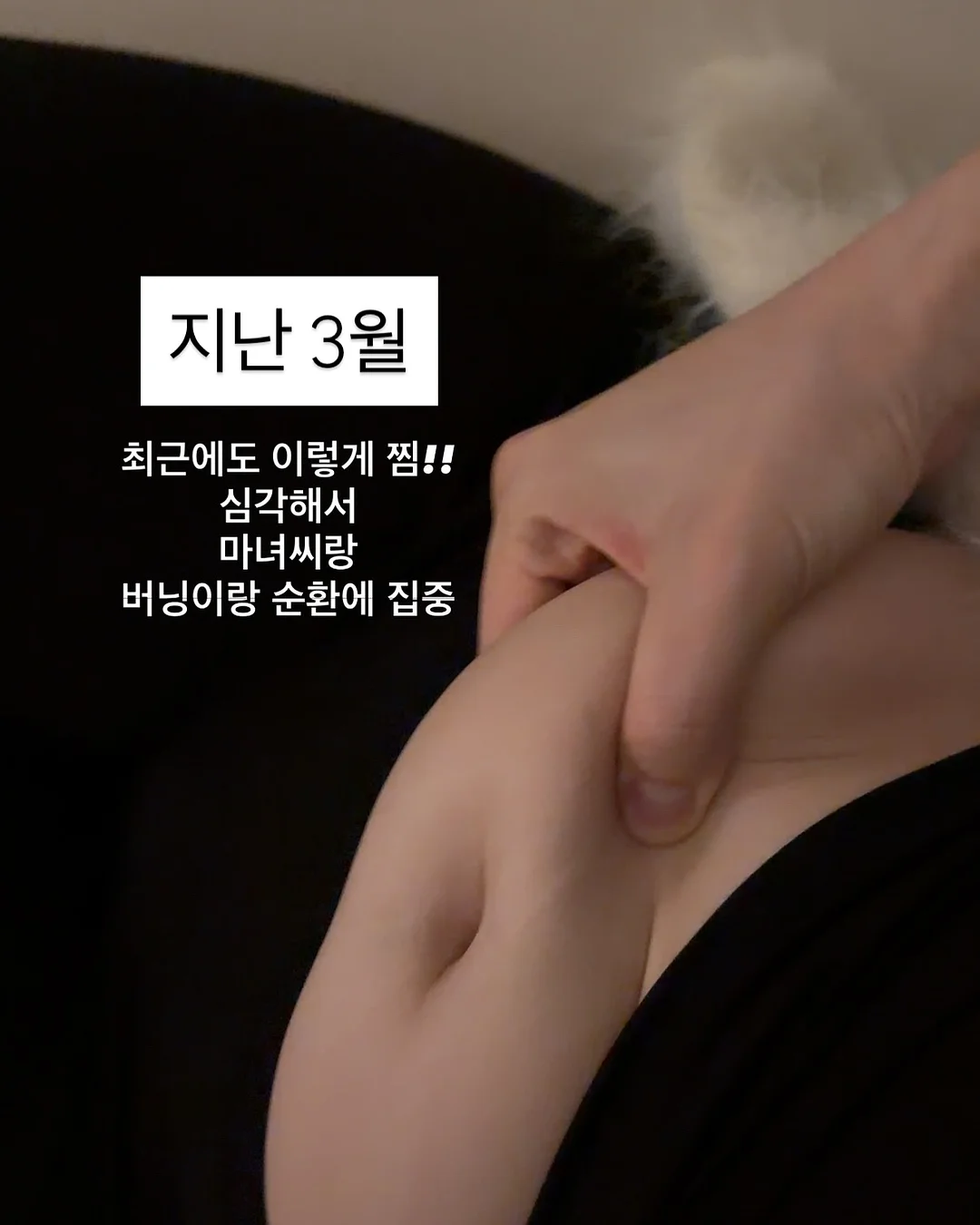 마멀레이드 티 4