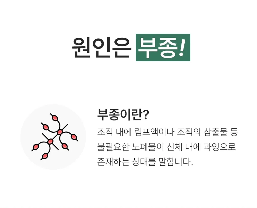 해리포터 느낌 체스판 2